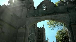 undefined Images